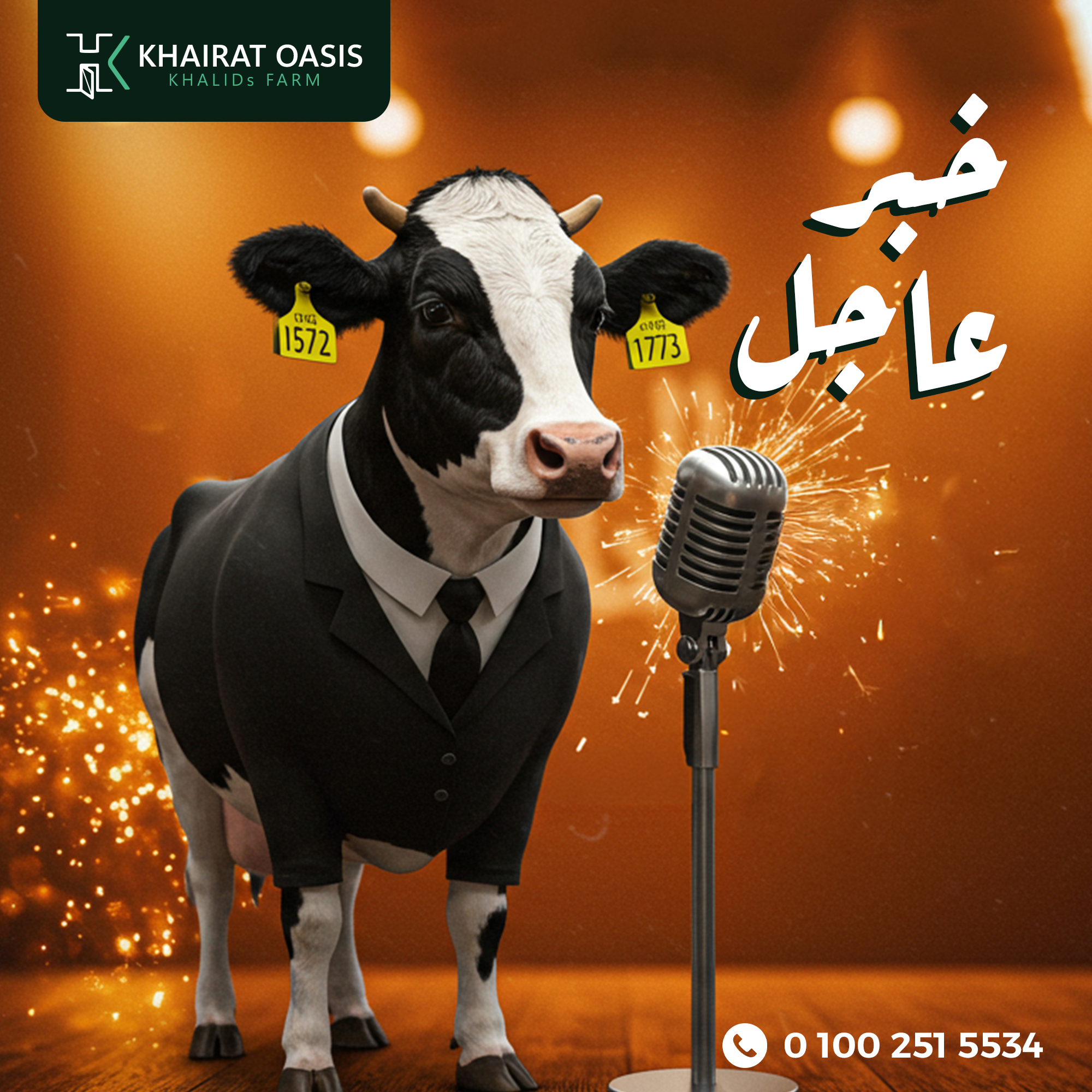Khairat Campaign 1