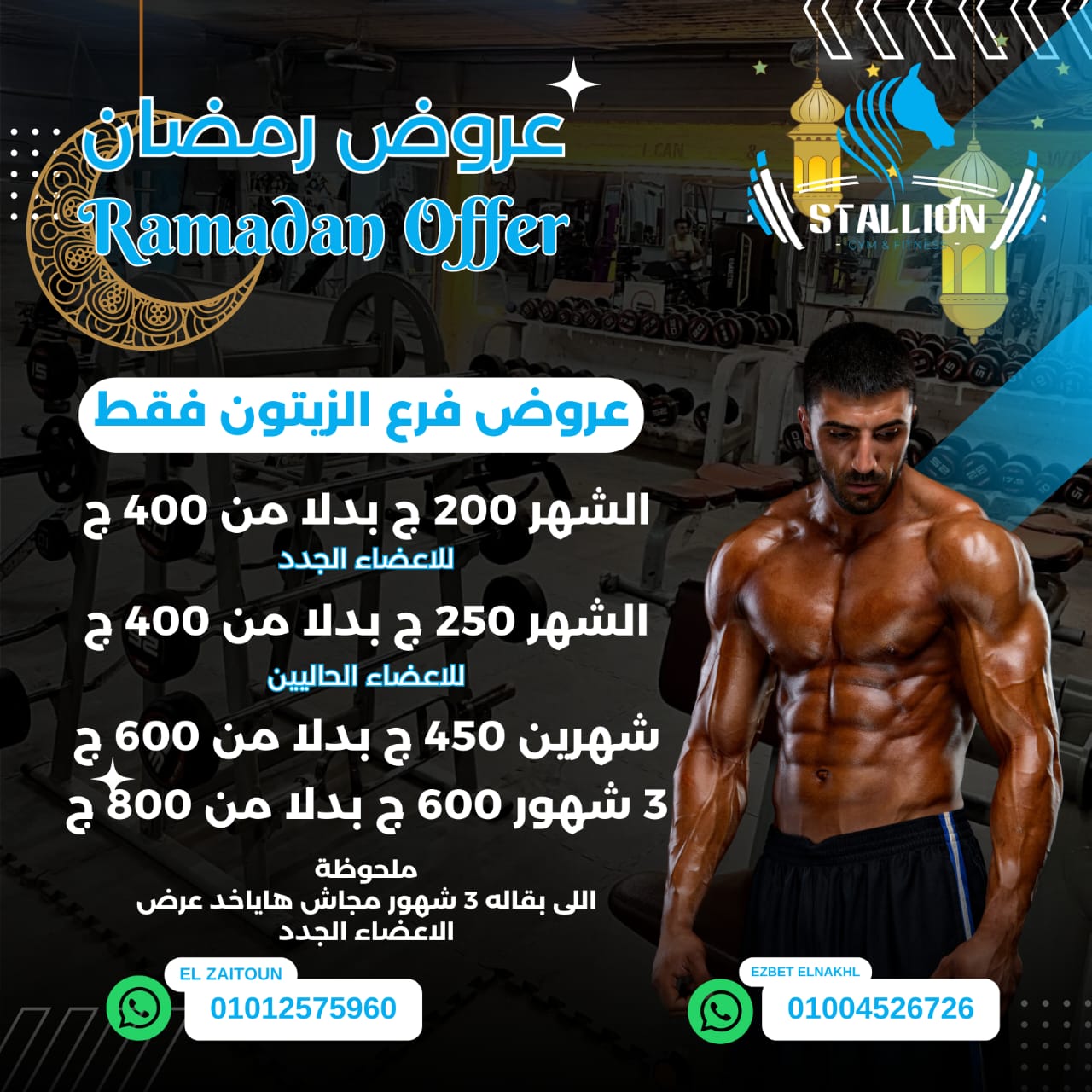 Stallion Gym Facilities